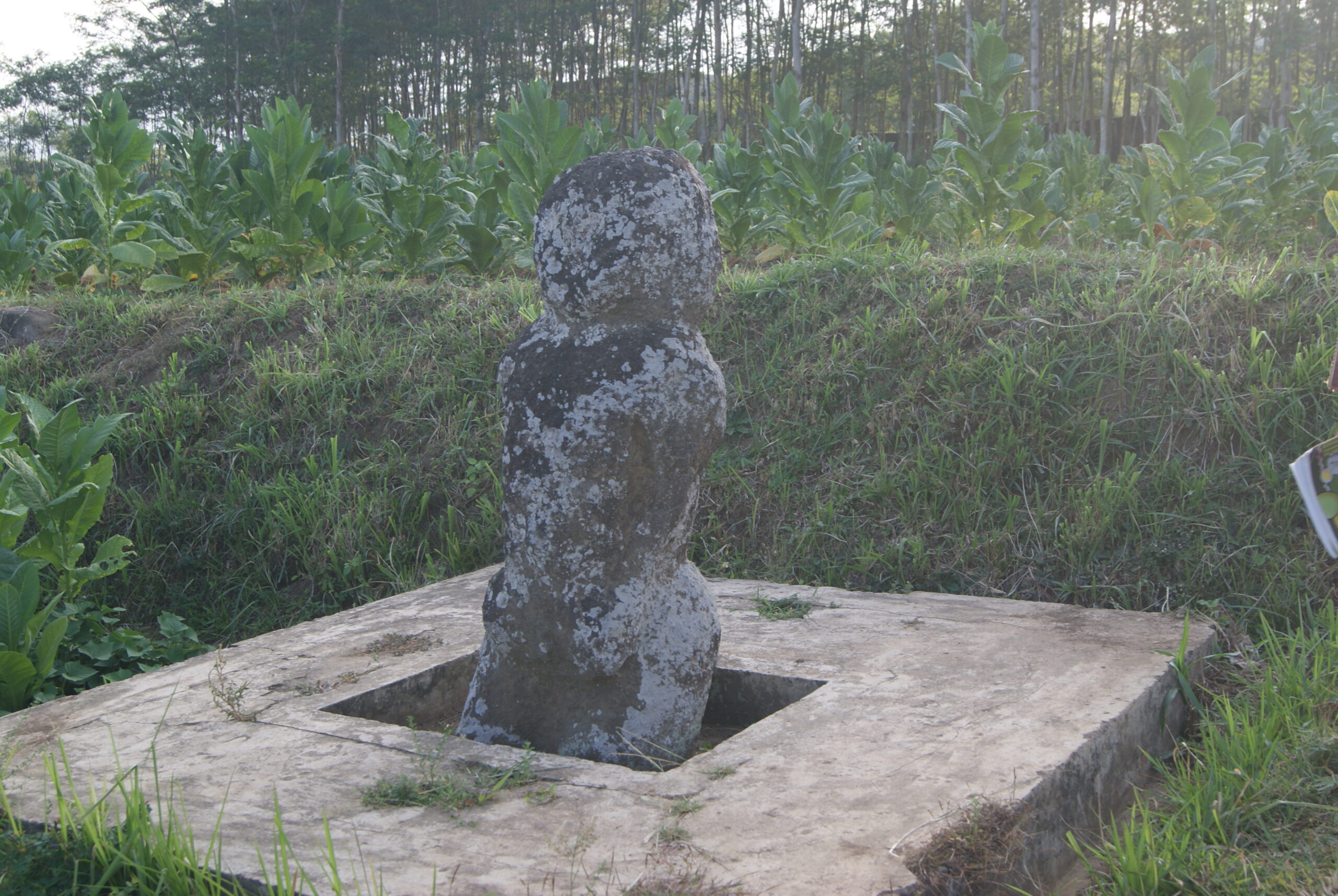 Misteri Patung Nyei di Pekauman: Lambang Kesuburan dan Warisan Budaya di Sisi Gunung Raung post thumbnail image